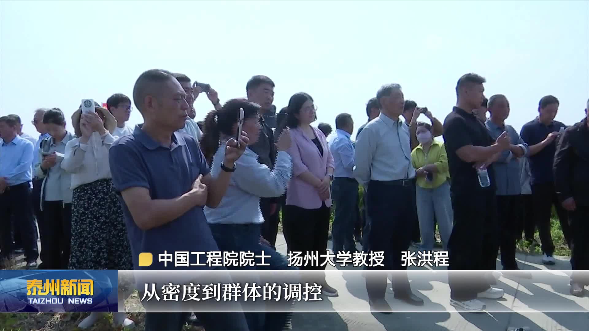 在希望的田野上·丰收时节  泰州：稻浪翻滚迎丰收 金秋开镰收割忙